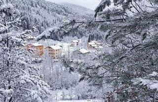 Bu köylere korona virüs hiç uğramadı