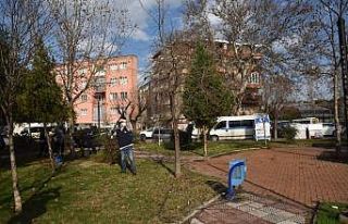 Budanan ağaçlar ihtiyaç sahiplerine odun oluyor