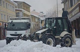 Bulanık Belediyesinden karla mücadele çalışması