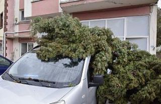 Burdur’da şiddetli fırtına