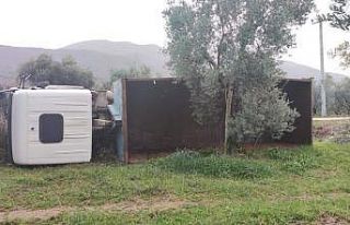 Bursa’da kamyon zeytinliğe devrildi