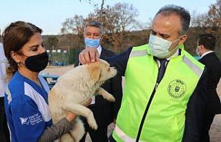 Bursa’nın emekli hayvanlar çiftliği