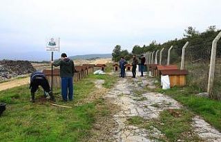Büyükşehir’den sokak hayvanlarına sıcak yuva