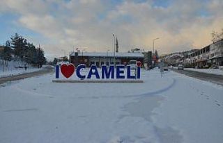 Çameli beyaza büründü
