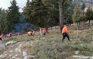 Çamlıyayla’daki mezarlıklarda kapsamlı temizlik