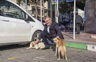 Can dostlarımız Karacabey’de güvence altında