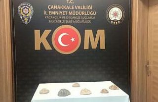 Çanakkale’de 6 milyon değerinde denizyıldızı...