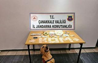 Çanakkale’de uyuşturucu operasyonu: 1 tutuklama