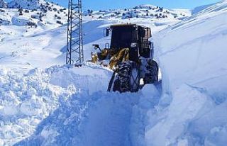 Çatak’ta çığ düştü: 1 mahalle ve 6 mezranın...