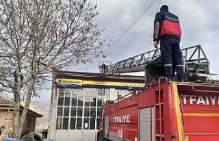 Çatıda mahsur kalan kediyi itfaiye ekipleri kurtardı