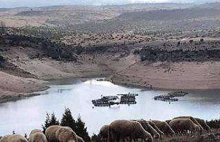 Çavdarhisar baraj göletinde su seviyesi azaldı