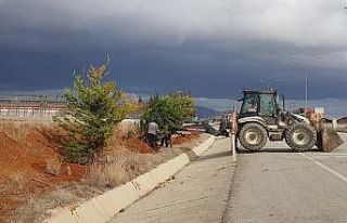 Çevre yolunda ağaçlandırma çalışması