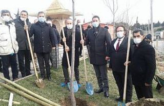 Çevreci Muhtar’dan ağaç dikim etkinliği