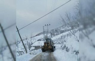 Cide’de karla mücadele çalışmaları aralıksız...