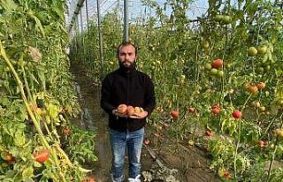 Çiftçi fırtına sonrası yaralarını sarıyor