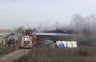 Çiftlikte çıkan yangın korkuttu