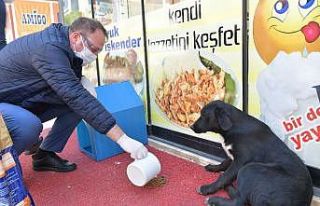Çiğli Belediyesi veterinerlik hizmetlerinde rekor...