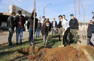 Cizre’de daha yeşil bir çevre için çalışmalar...