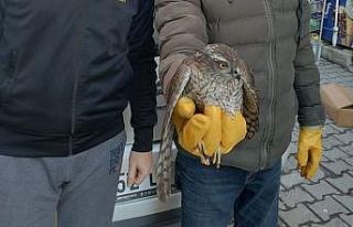 Çocukların duyarlılığı hayat kurtardı