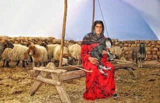 Çocukluğundan beri çobanlık yapan Ayten, ’anne...