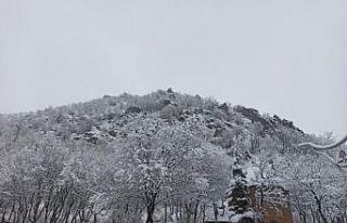 Çukurca Kale Evleri beyaz gelinliğini giydi