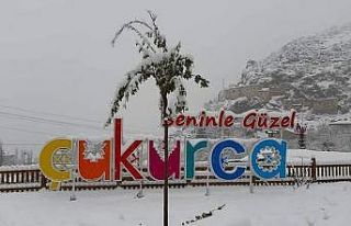 Çukurca’da kar yağışı