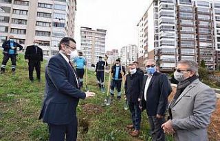 Çukurçayır’a meyve bahçesi