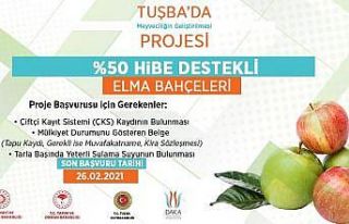 DAP ve DAKA’dan elma bahçelerine yüzde 50 hibe...