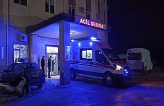 Dedesinin bir anlık hatası öldürdü
