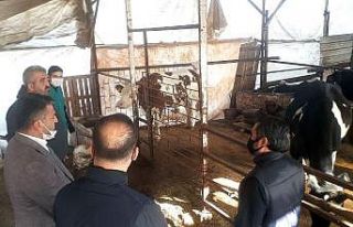 Demre’deki besicilerin ihtiyaçları belirlendi