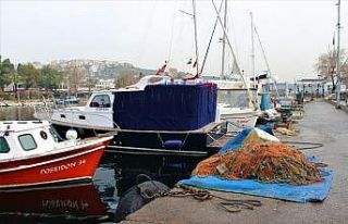 Denizde balık olmayınca, ağlar karada kaldı