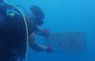 Denizde "kafes" ile balık avlarken yakalandılar