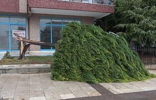 Denizli ve 4 il için fırtına uyarısı