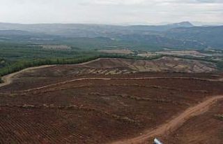 Denizli’de endüstriyel plantasyon sahası hazırlığı...