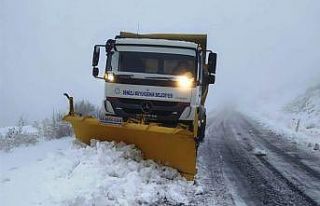 Denizli’nin 6 ilçesinde karla mücadele devam ediyor