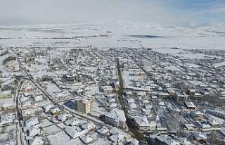 Depreme uykuda yakalandılar