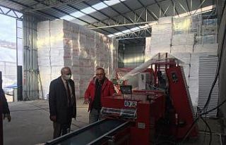 Devrek’ten Türkiye’ye fide dağıtılacak