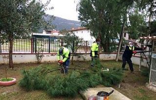 Didim Belediyesi kentin geleceğine güzellik katıyor