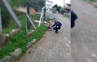 Didim Belediyesi minik dostları unutmadı