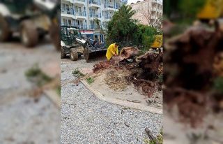 Didim Belediyesi yağış sonrası olumsuzlukları...