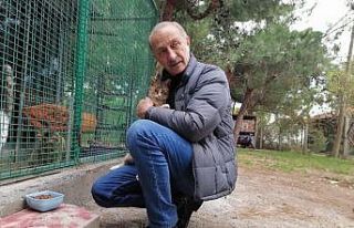 Didim Belediyesi’nden besleme çalışması