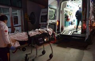 Didim’de deniz patlıcanı toplayan dalgıç vurgun...