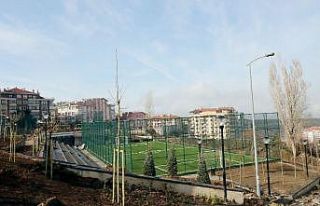 Dikmen Karapınar Spor Parkında sona yaklaşıldı