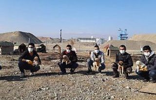 Dilsiz dostları için, örnek gönüllü destek