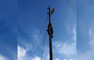 Direkte mahsur kalan kediyi fark etti, özel aparatlarını...