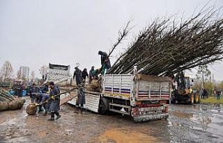 Diyarbakır Büyükşehir Belediyesi 220 günde 5...