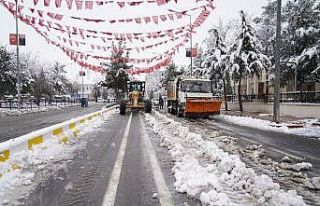 Diyarbakır Büyükşehir Belediyesi, karla mücadele...
