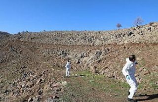 Diyarbakır’da ilk defa hayvanlara kuduz aşısı...