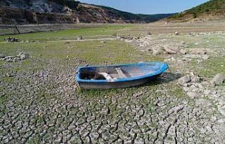 Doç. Dr. Ahmet Demirak: “İklim değişikliği...