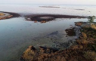 Doğa harikası lagün mikrop saçıyor